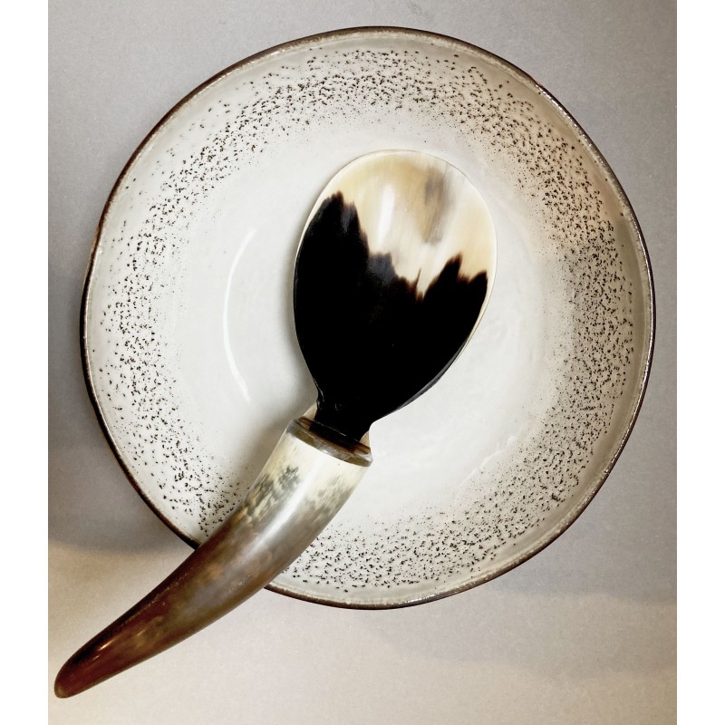Horn spoon