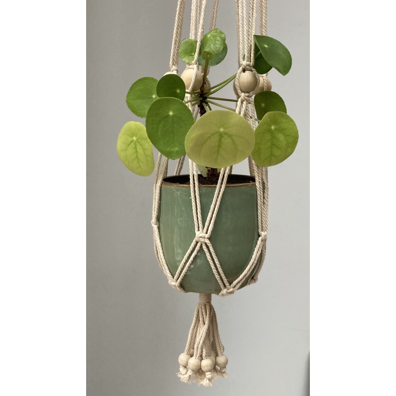 Macramé cotton hanger