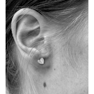 Rhodium oorbellen Rose