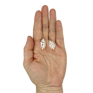 Silver earrings Leila