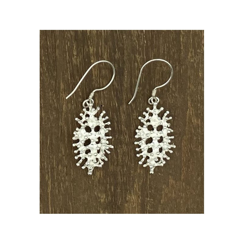 Silver earrings Leila