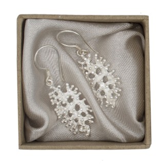 Silver earrings Leila