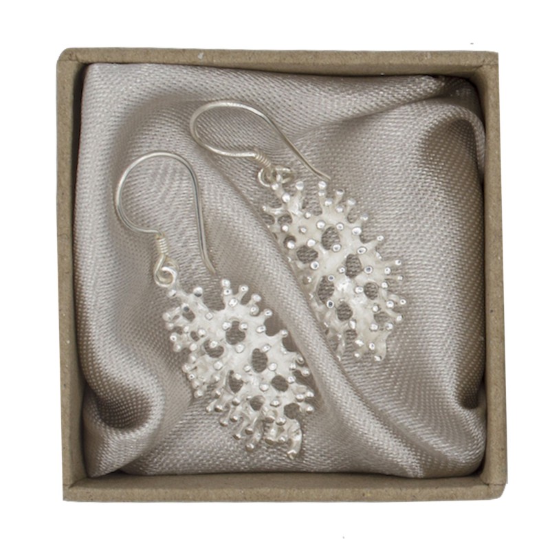 Silver earrings Leila