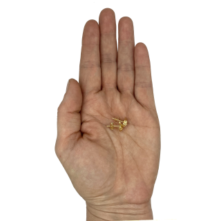 Gold plated earrings Irena