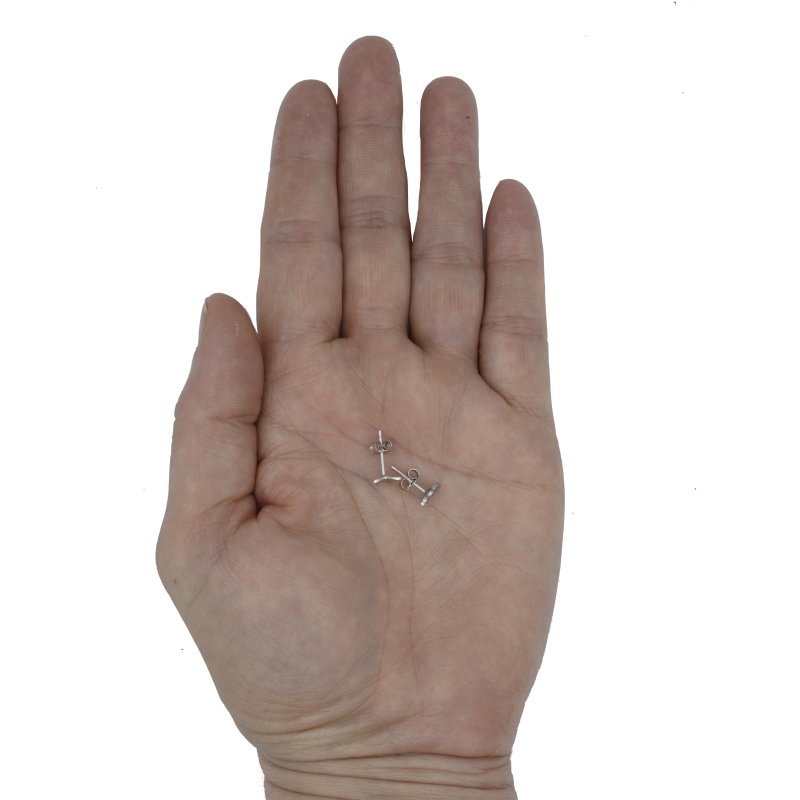 Rhodium oorbellen Lisan