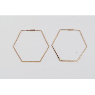 Rosé vergulde oorbellen Gerbera hexagoon Rosé vergulde oorbellen Gerbera hexagoon