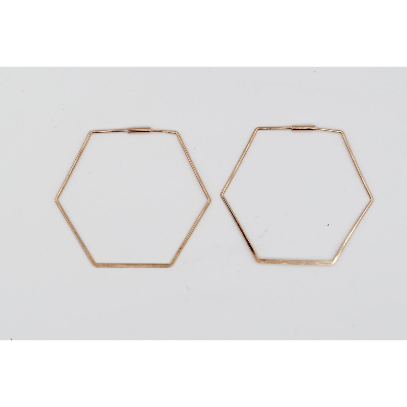 Rosé vergulde oorbellen Gerbera hexagoon Rosé vergulde oorbellen Gerbera hexagoon