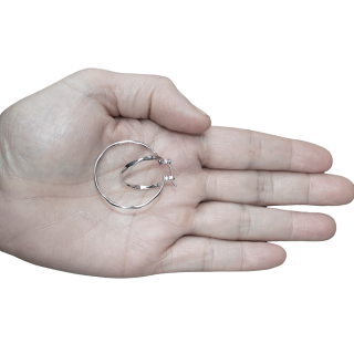 Rodium earrings Belle