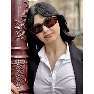 Sunglasses Blake turtle brown